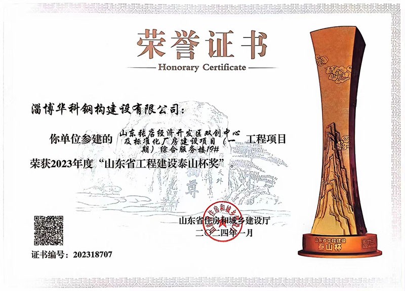Mount Taishan Cup Award
